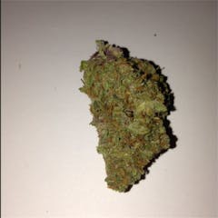 User uploaded image of Dutch Dragon