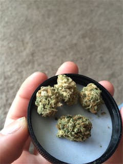 User uploaded image of Dutch Treat Haze