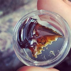 User uploaded image of Dutch Treat Haze