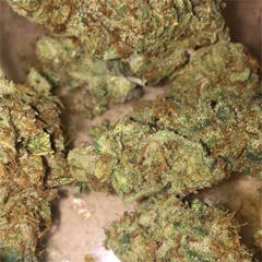 User uploaded image of Dutch Treat Haze