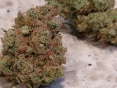 User uploaded image of Dutch Treat