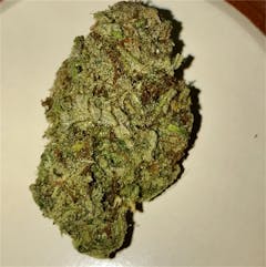 User uploaded image of Dutch Treat