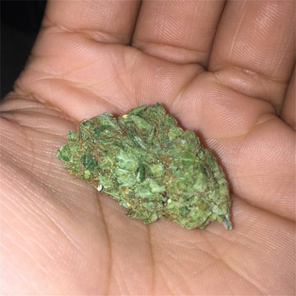 Photos of Dutch Treat Weed Strain Buds Leafly