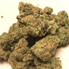 User uploaded image of Dutch Treat