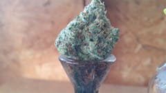 User uploaded image of Dutchberry