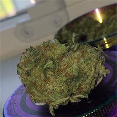 User uploaded image of Dutchberry