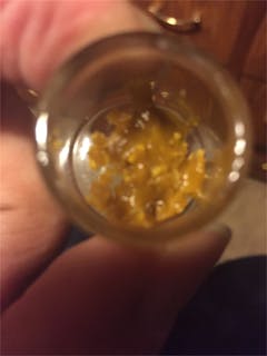 User uploaded image of Dutchberry