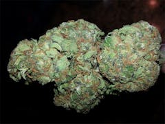 User uploaded image of Early Girl