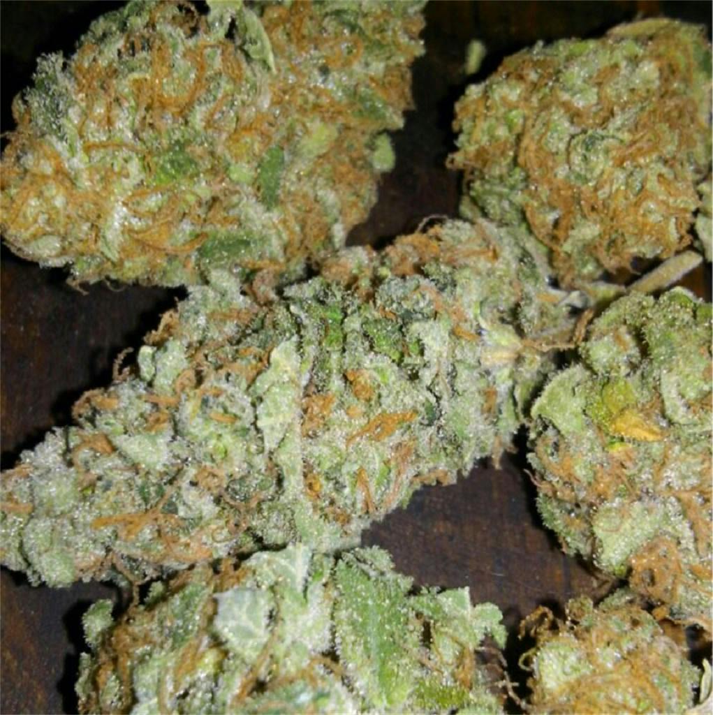 Early Girl Weed Strain Information Leafly