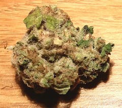 User uploaded image of Early Girl