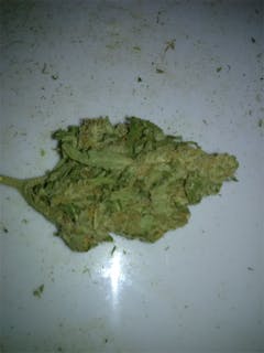 User uploaded image of Early Miss