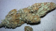 User uploaded image of Early Miss