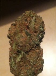 User uploaded image of Earthquake