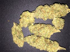 User uploaded image of Earthquake