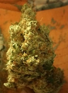 User uploaded image of Earthshaker OG