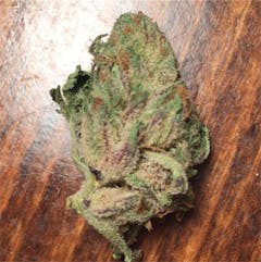 User uploaded image of East Coast Alien