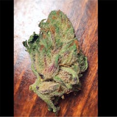 User uploaded image of East Coast Alien