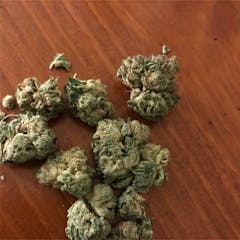 User uploaded image of East Coast Alien