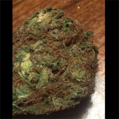 User uploaded image of East Coast Alien