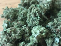 User uploaded image of ECSD