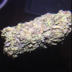 User uploaded image of Easy Peezy