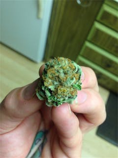 User uploaded image of Ebola #7