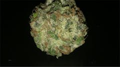 User uploaded image of Ebola #7