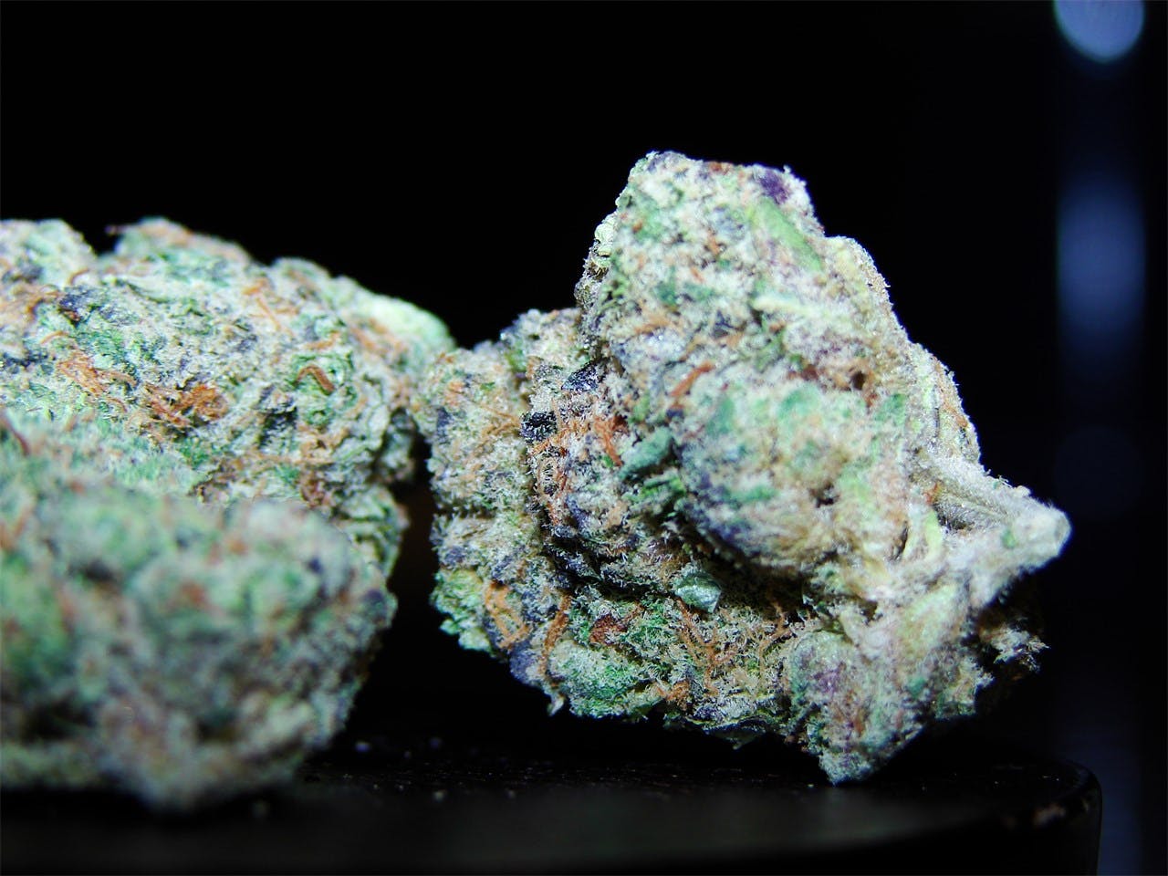 Ecto Cooler Weed Strain Information Leafly