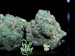 User uploaded image of Ecto Cooler