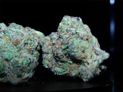 User uploaded image of Ecto Cooler