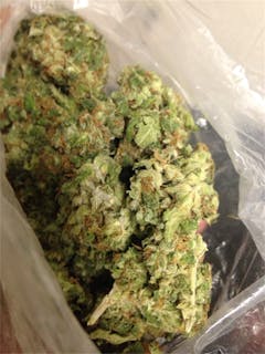 User uploaded image of Ed Rosenthal Super Bud