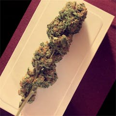 User uploaded image of Ed Rosenthal Super Bud