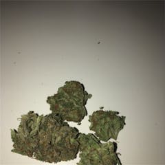 User uploaded image of Ed Rosenthal Super Bud