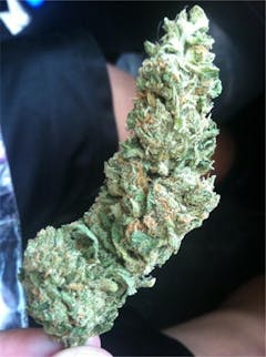 User uploaded image of Edelweiss