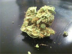 User uploaded image of Edelweiss