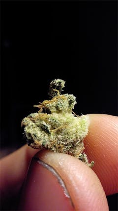 User uploaded image of Edelweiss