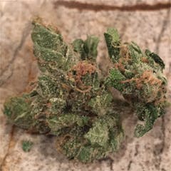 User uploaded image of El Jefe