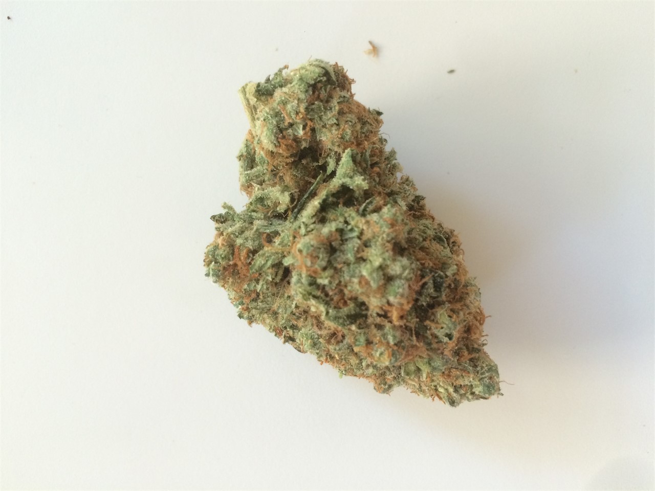 El Jefe Marijuana Strain Information