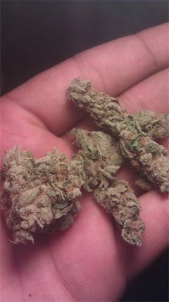 User uploaded image of El Jefe