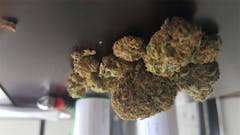 User uploaded image of Elderberry