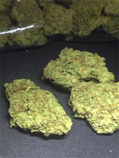 User uploaded image of Elderberry