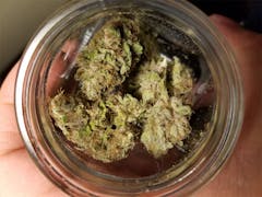 User uploaded image of Electric Kool Aid