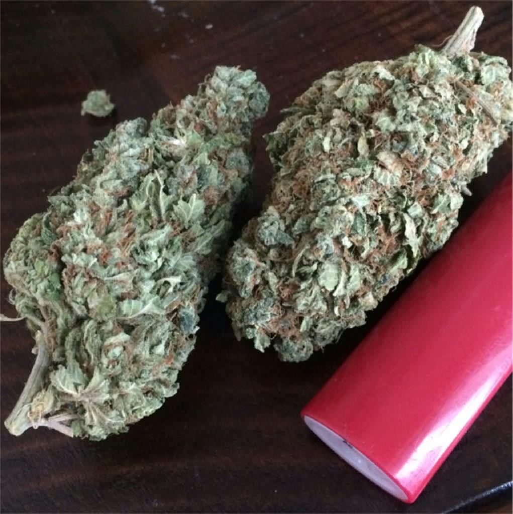 Electric Lemon G aka Eletric Lemon, Eletric G Weed Strain Information