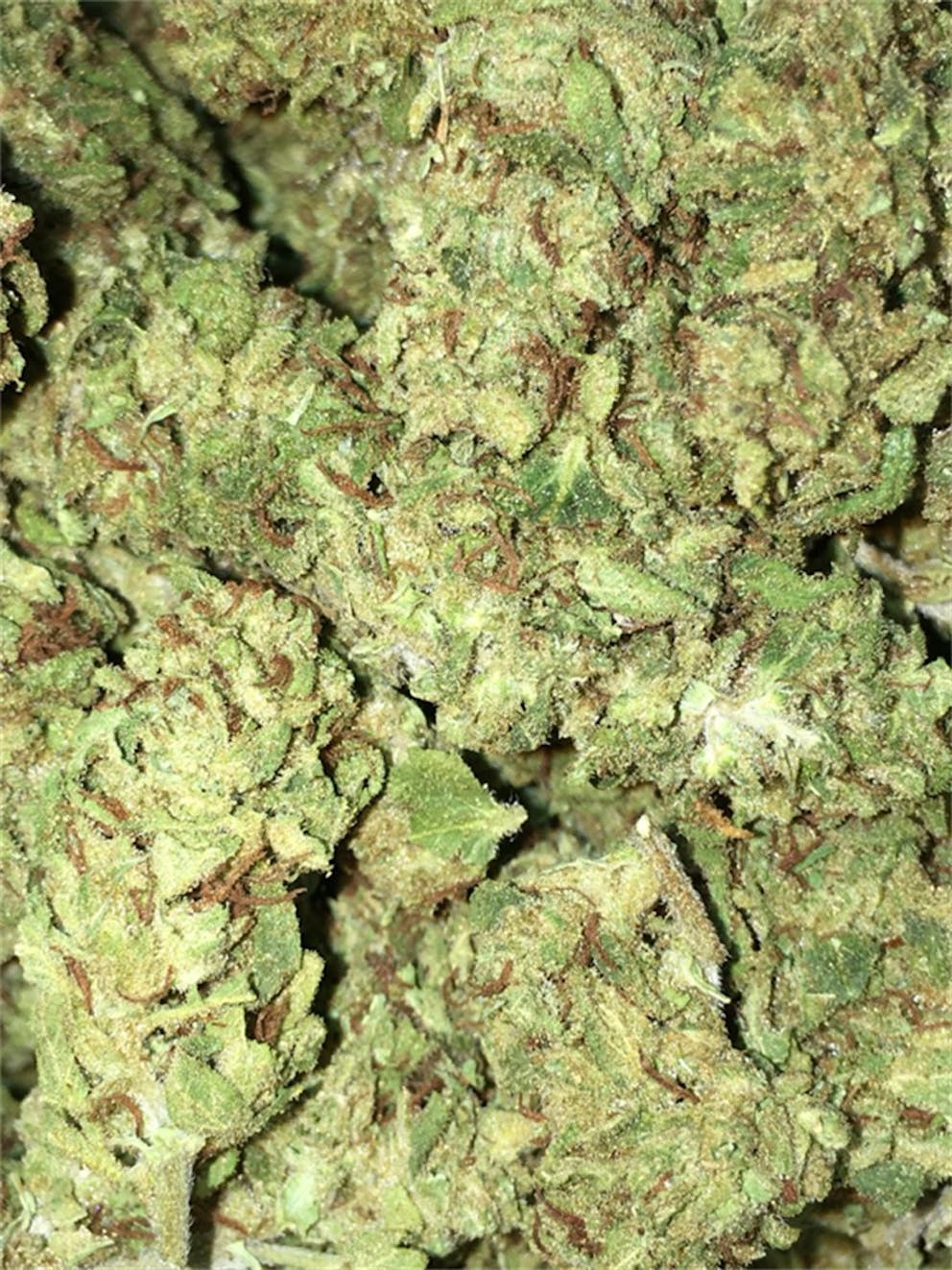 Photos of Electric Lemon G Weed Strain Buds Leafly