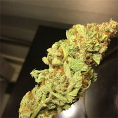 User uploaded image of Electric Lemon G