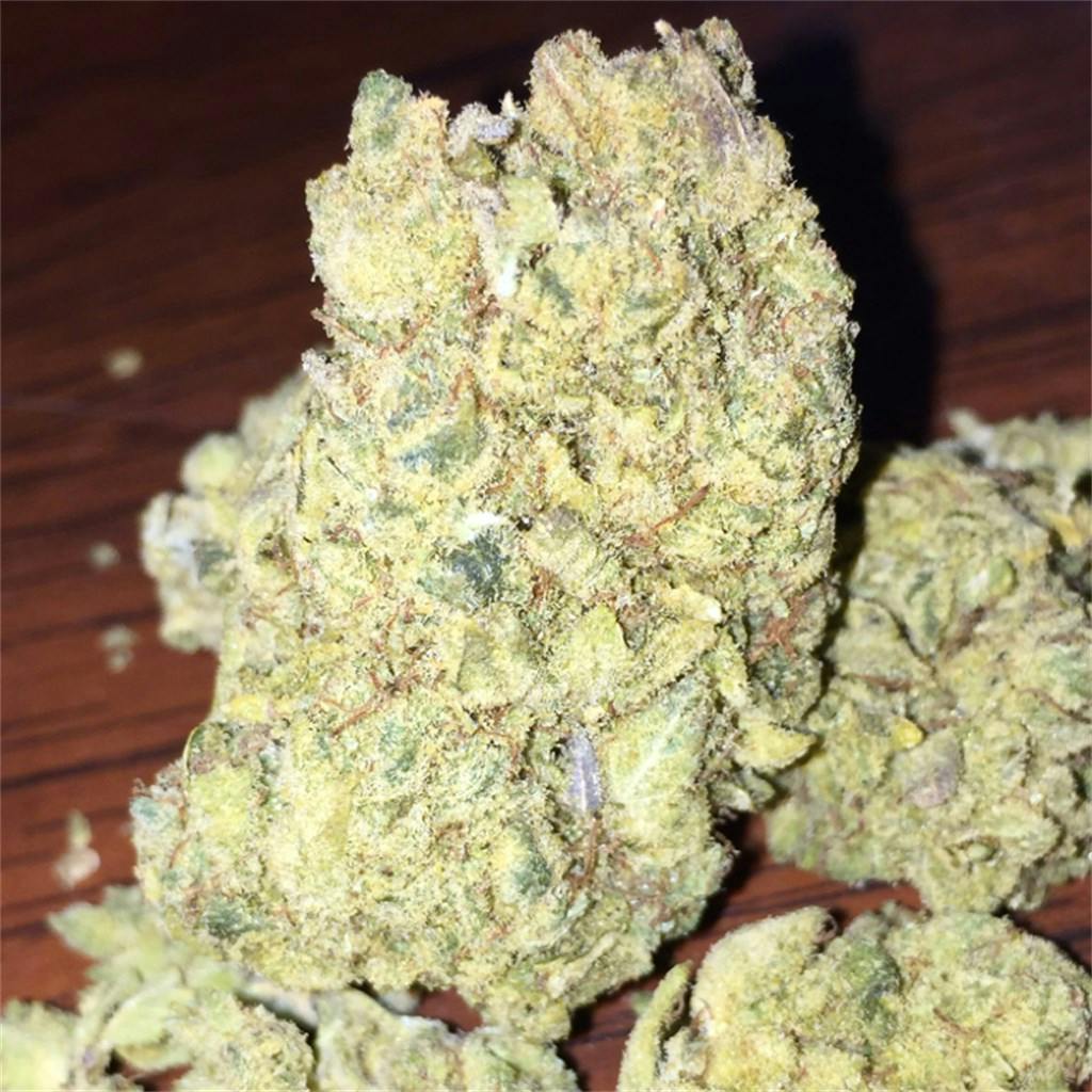 Elmer's Glue Weed Strain Information Leafly
