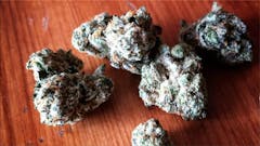 User uploaded image of Elmer's Glue