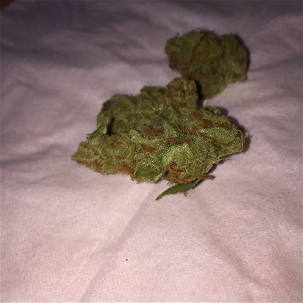 Photos of Elphinstone Weed Strain Buds Leafly