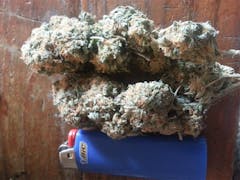 User uploaded image of Elvis