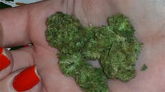 User uploaded image of Elvis